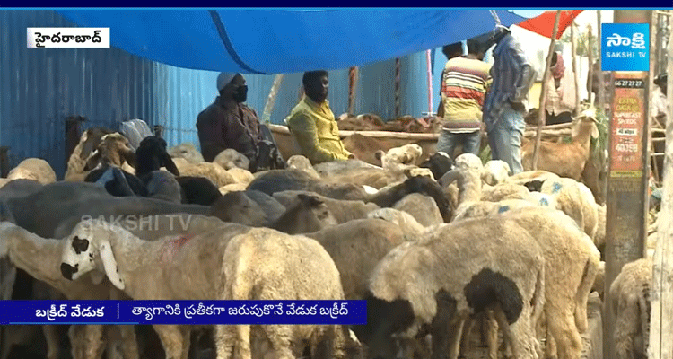 Huge Rush At Mandi Markets For Goats And Sheeps
