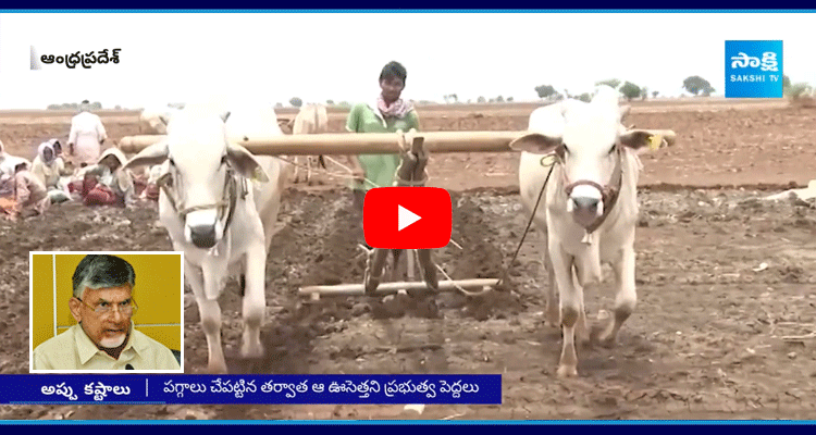 No Investment Support To Farmers In Andhra Pradesh