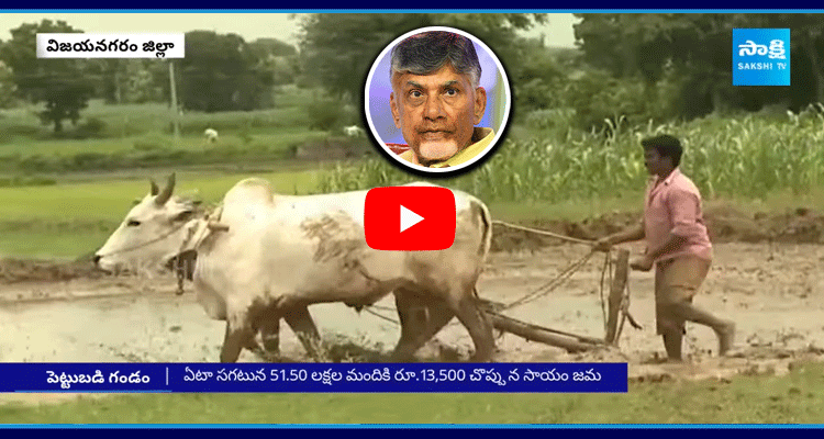 Chandrababu Cheated AP Farmers