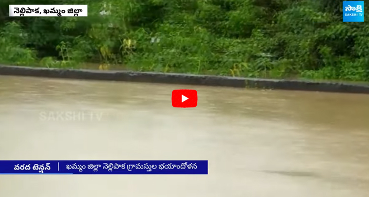 Nellipaka Village Under Fear of Godavari Floods 