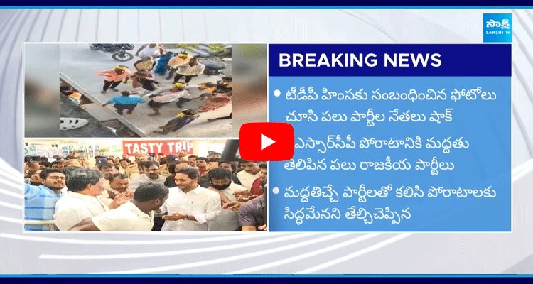 Political Parties Supports YS Jagan Against TDP Red Book Rules