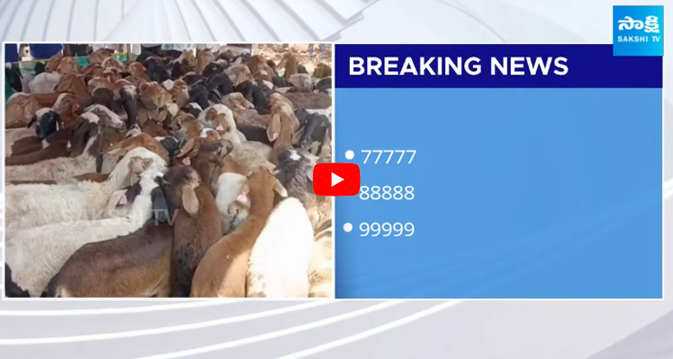 Big Twists In Sheep Distribution Scam in Telangana