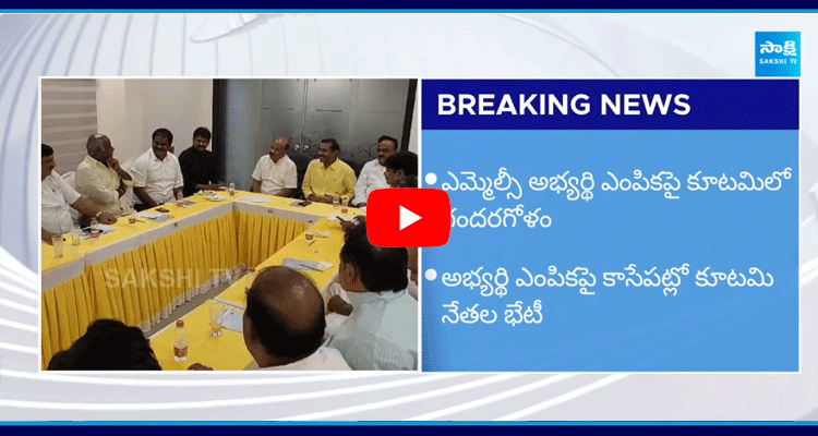 Chandrababu Confusion On Visakha MLC Candidate Selection 5