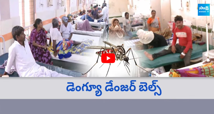  Increasing Dengue Cases In Telangana  4