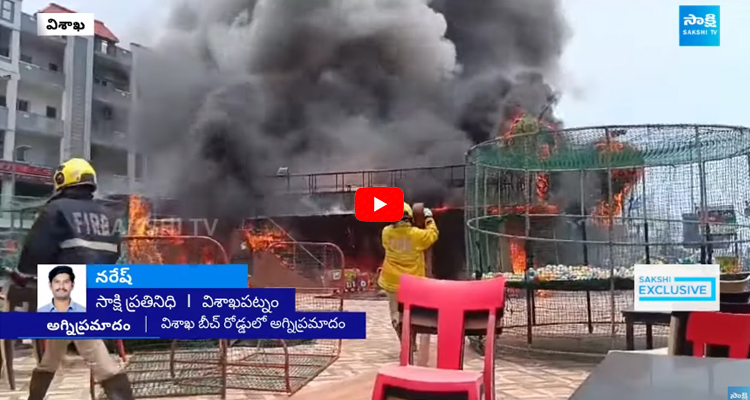 Fire Mishap At Dinosaur Park 4