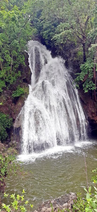 Heavy Rainfall Lashes Telangana Amazing Waterfalls Latest Photos - Sakshi