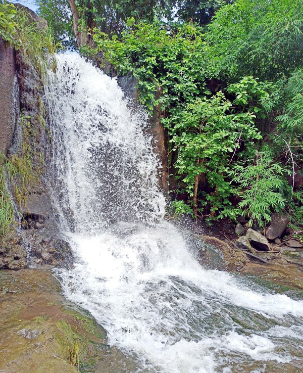 Heavy Rainfall Lashes Telangana Amazing Waterfalls Latest Photos - Sakshi