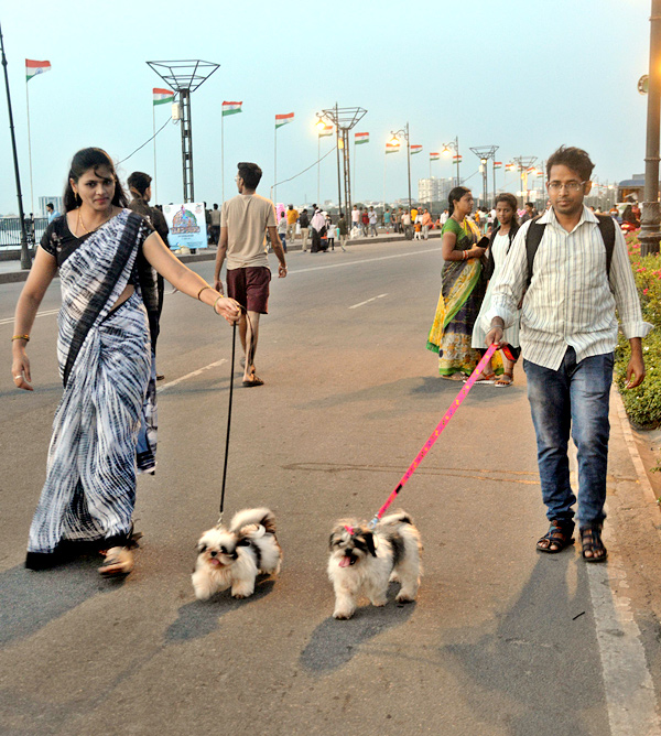 Sunday Funday Programme on Tank Bund - Sakshi