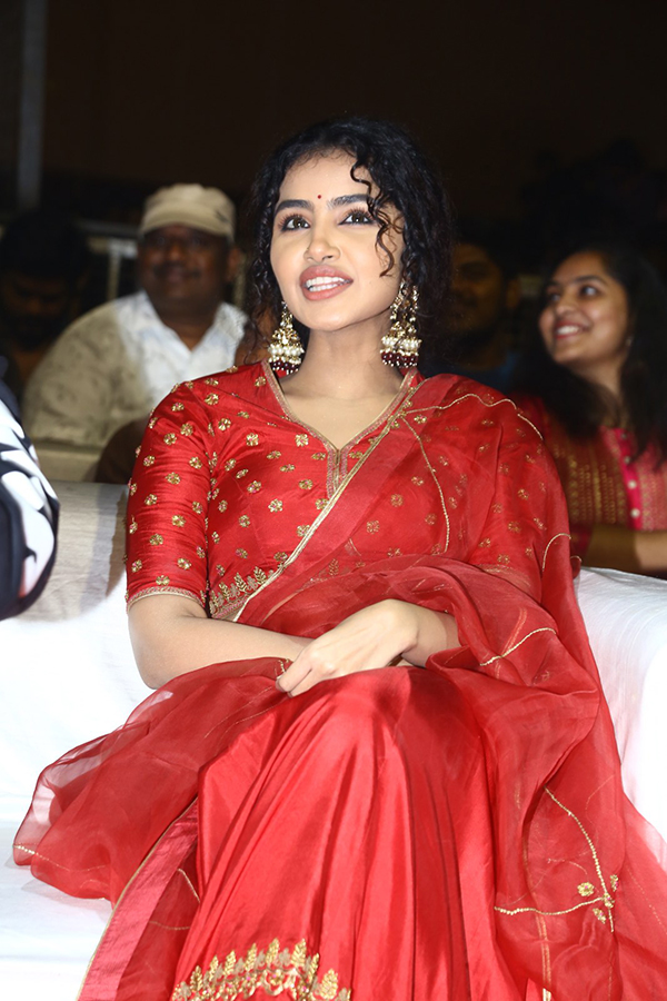 Actress Anupama Red Dress Images At Pages Pre Release - Sakshi