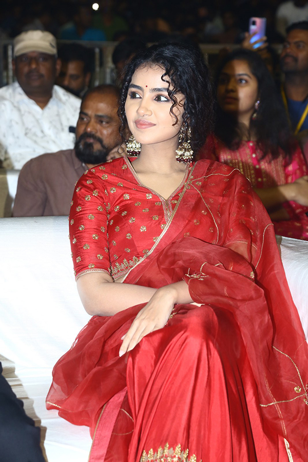 Actress Anupama Red Dress Images At Pages Pre Release - Sakshi