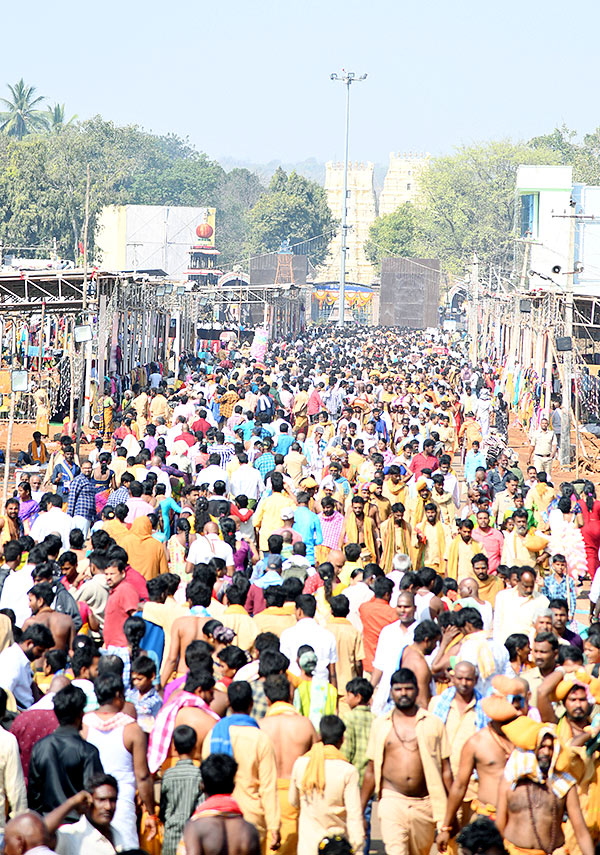 Mahashivratri 2023 Celebrations Telugu states - Sakshi