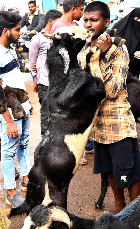 bakrid kurbani - Sakshi