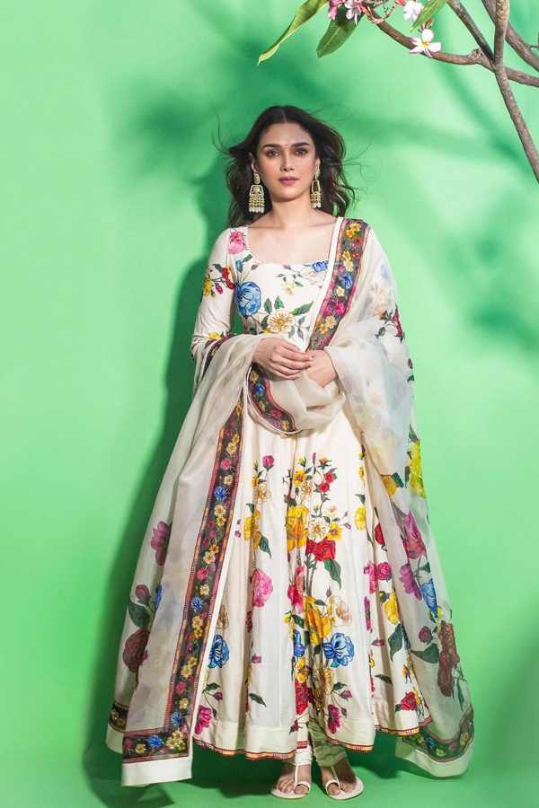 Mesmerizing Looks Of Aditi Rao Hydari Photos Goes Viral