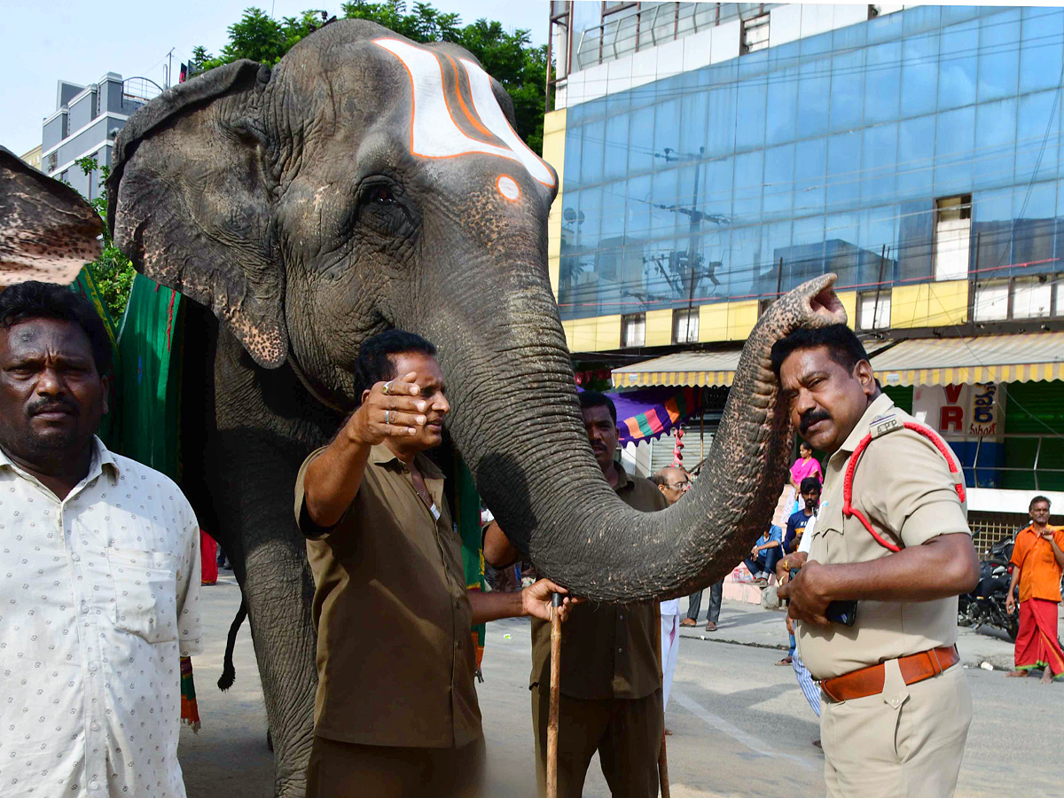 Best Photos of The Day in AP and Telangana Photo Gallery