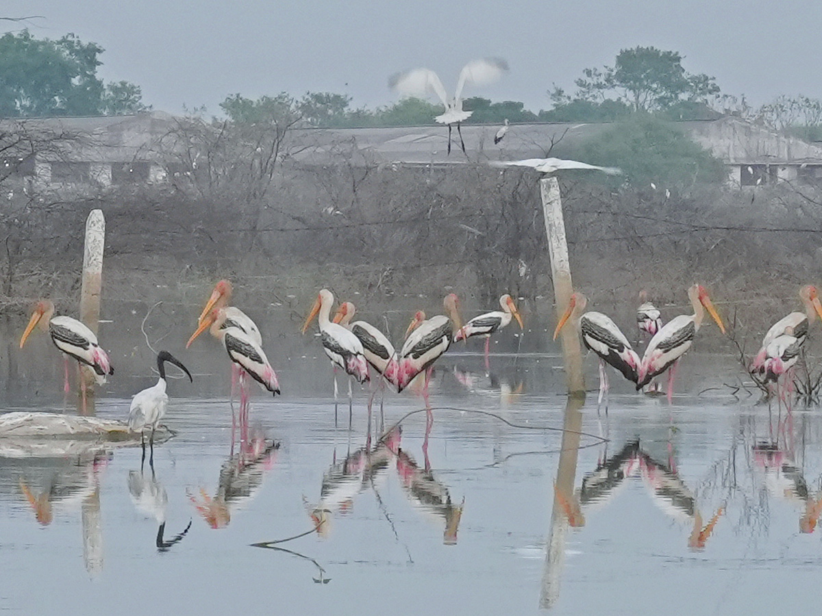 Best Photos of The Day in AP and Telangana Photo Gallery