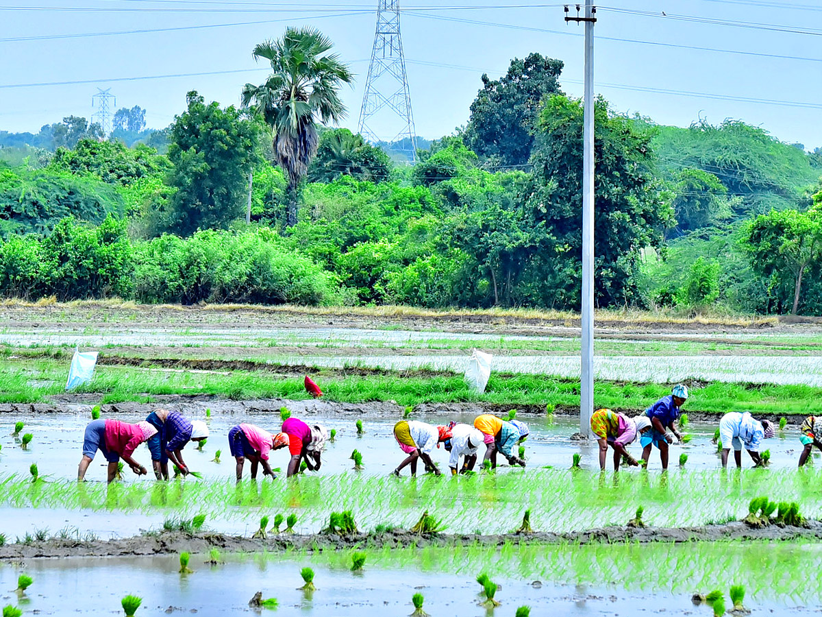 Best Photos of The Day in AP and Telangana Photo Gallery35