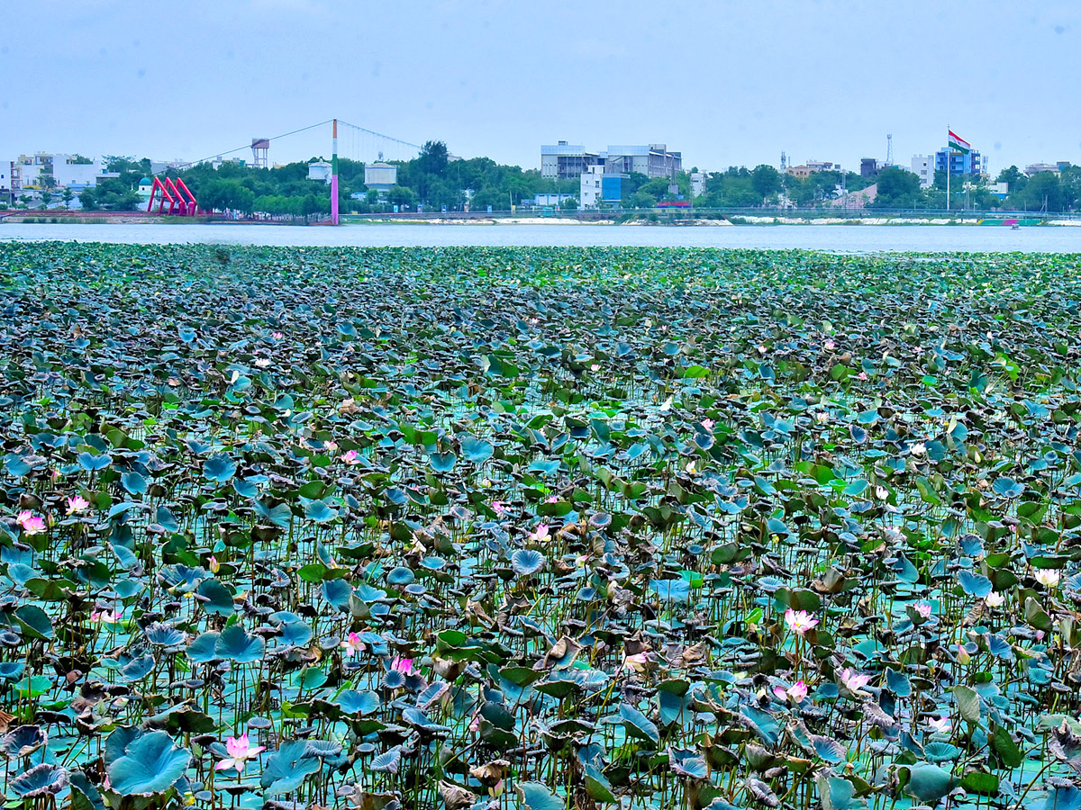 Best Photos of The Day in AP and Telangana Photo Gallery37