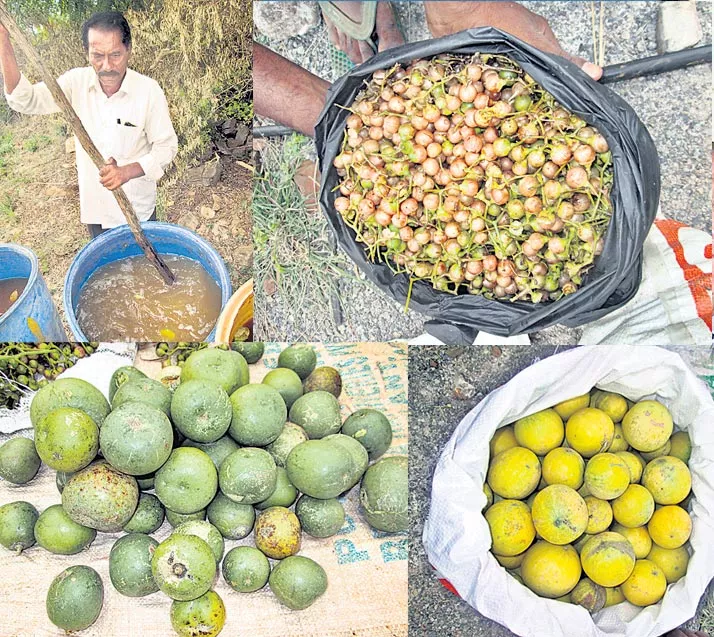 Protection of the bamaave solution for crops! - Sakshi