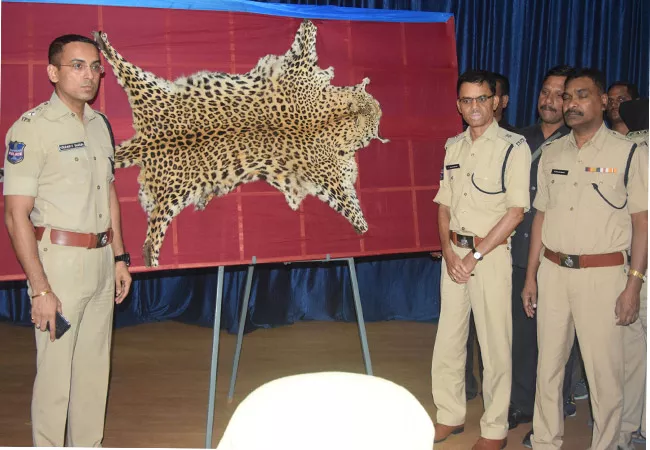 Tiger Skin Seized Poachers In Karimnagar - Sakshi