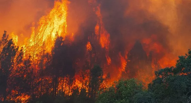 California WildFire Smoke Blankets America - Sakshi