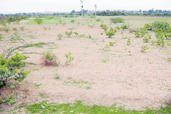 Government land regulation Free up to 125 yards - Sakshi