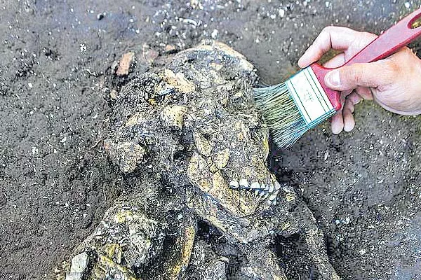  archeologists found a skeleton - Sakshi