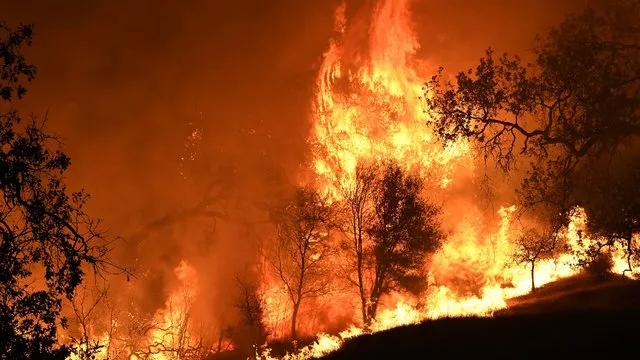 630 missing in California wildfire as death and damage tolls rise - Sakshi