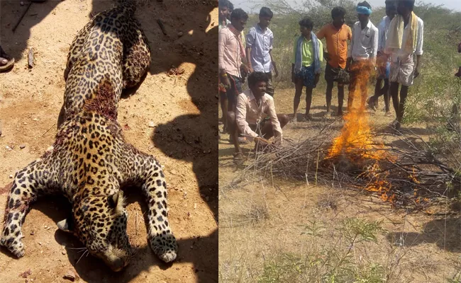 Leopard Died in Chittoor - Sakshi