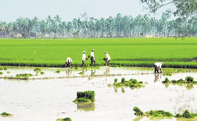 The farmers scheme is running in Telangana - Sakshi