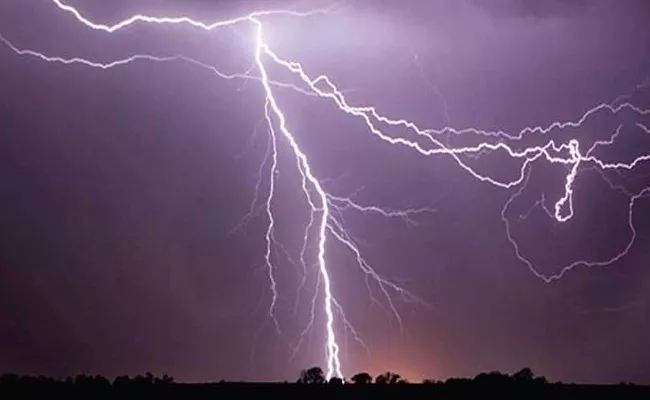 Drizzle, Thunderstorm In Andhra Pradesh Today: IMD - Sakshi