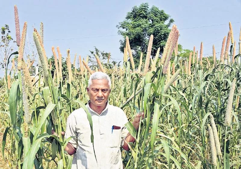 Nature crops are in ten crops - Sakshi