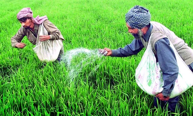 Fertilizer subsidy will be directly in bank account of formers - Sakshi