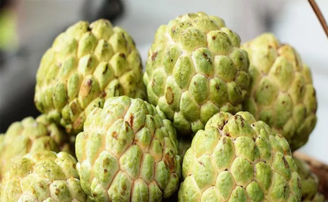 Custard Apple High Rate In Ap And Telangana - Sakshi