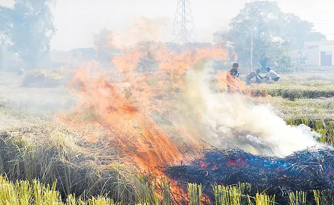 Prime Minister's Review Meeting Over Pollution At Delhi - Sakshi