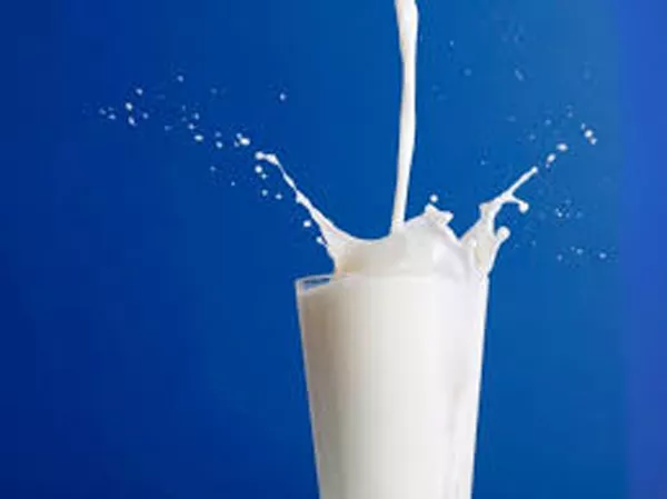 Drinking SKIMMED Milk Could Slow Down Ageing - Sakshi