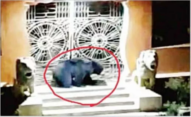 Bear Caught in Puri Jagannath Temple Odisha - Sakshi