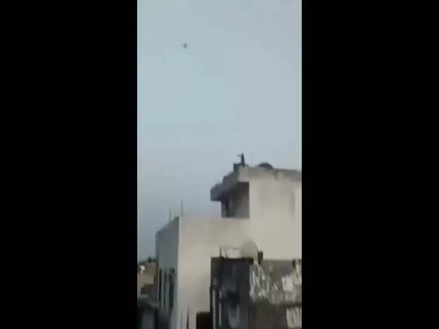 Viral Video: Monkey Flying A Kite During Lockdown