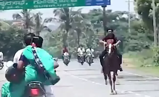BJP MLA Son Horse Ride On Highway In Karnataka - Sakshi