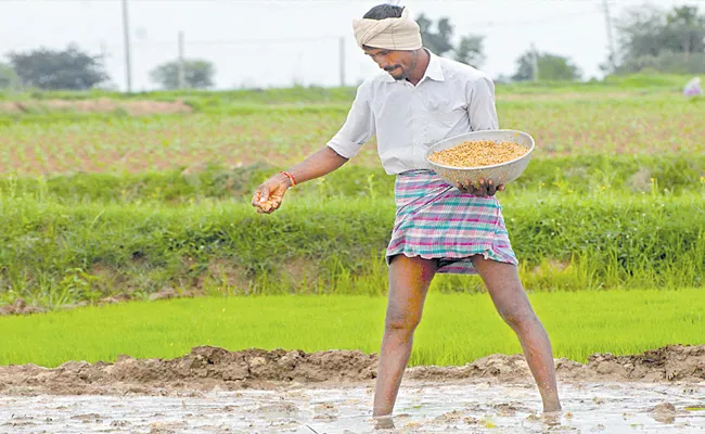 Ready Of Rice Seeds For Kharif Season In Telangana - Sakshi
