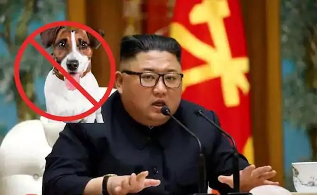 Kim Jong un Orders North Korea to Give Up Pet Dogs to For Meat - Sakshi