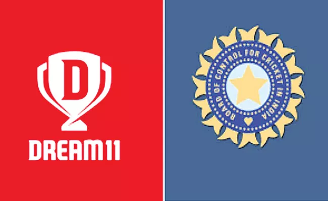 BCCI announce Dream11 as Title Sponsor for IPL 2020 - Sakshi