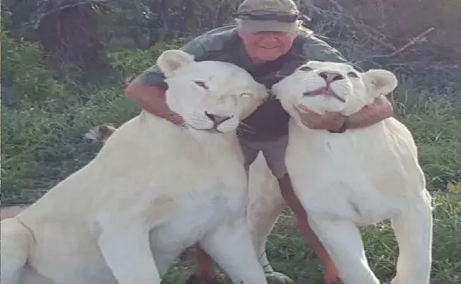 South African Conservationist Assassinated By His Own White Lions - Sakshi
