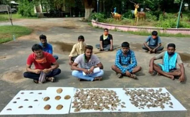 12 Detained For Smuggling Pangolin Skins In Hyderabad - Sakshi