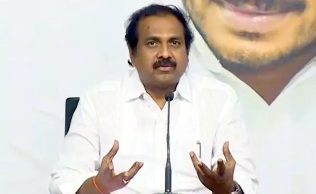 Kurasala Kannababu Talks In Press Meet Over Input Subsidy In Vijayawada - Sakshi