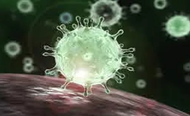 coronavirus originated in INDIA in summer 2019 Chinese scientists claim - Sakshi