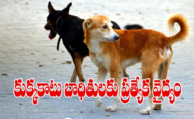 Specialized clinics for dog bite treatment - Sakshi
