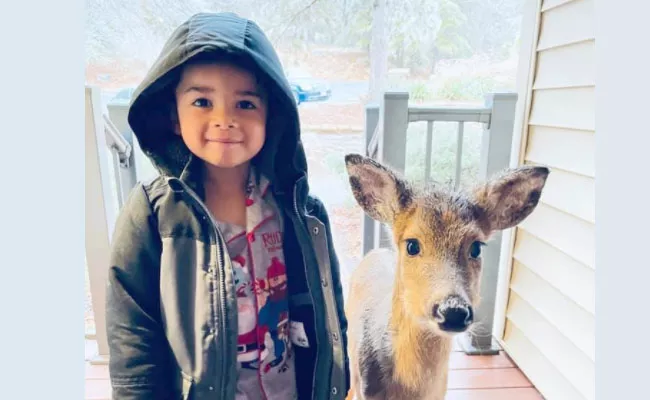 Viral Pic Of 4 Year Old Boy Come With Deer While Playing Outside - Sakshi