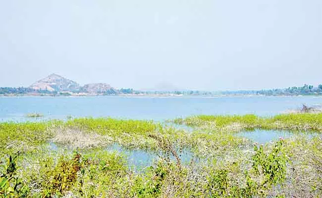 Godavari water Reaches Tail End Areas In Suryapet - Sakshi
