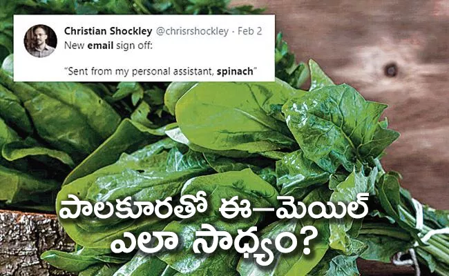 Scientist Says Spinach Plants Can Be Used Send To Emails - Sakshi