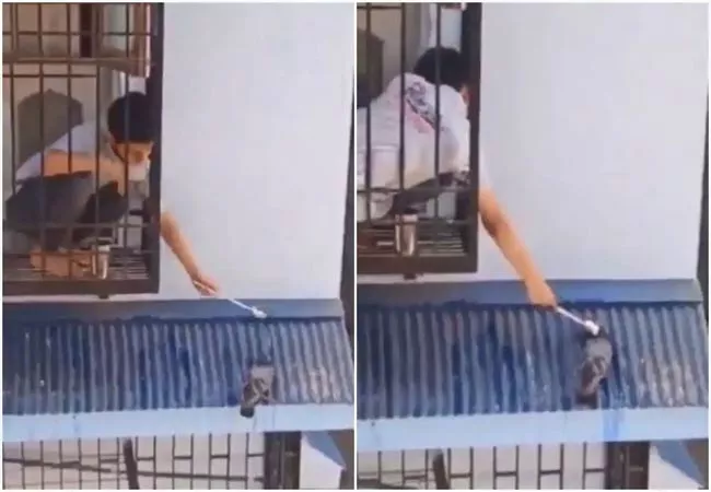 Heart Melting Video: Little Boy Feeding Water To Thirsty Pigeon Goes Viral - Sakshi